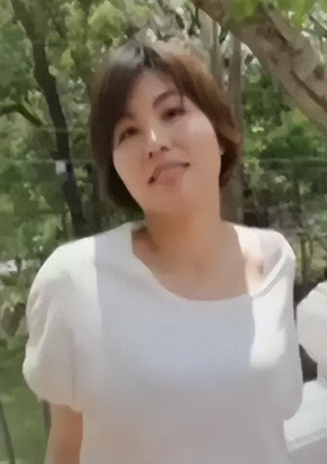 台湾大陆间谍案，深度解析与反思，台湾间谍案深度解析，反思与警示