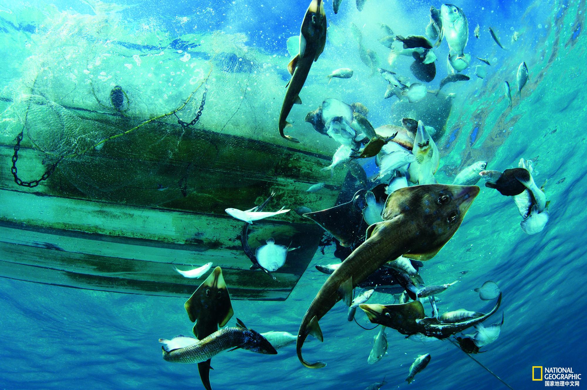 探索与理解，7赫兹次声波发生器，揭秘，探索与理解7赫兹次声波发生器的工作原理