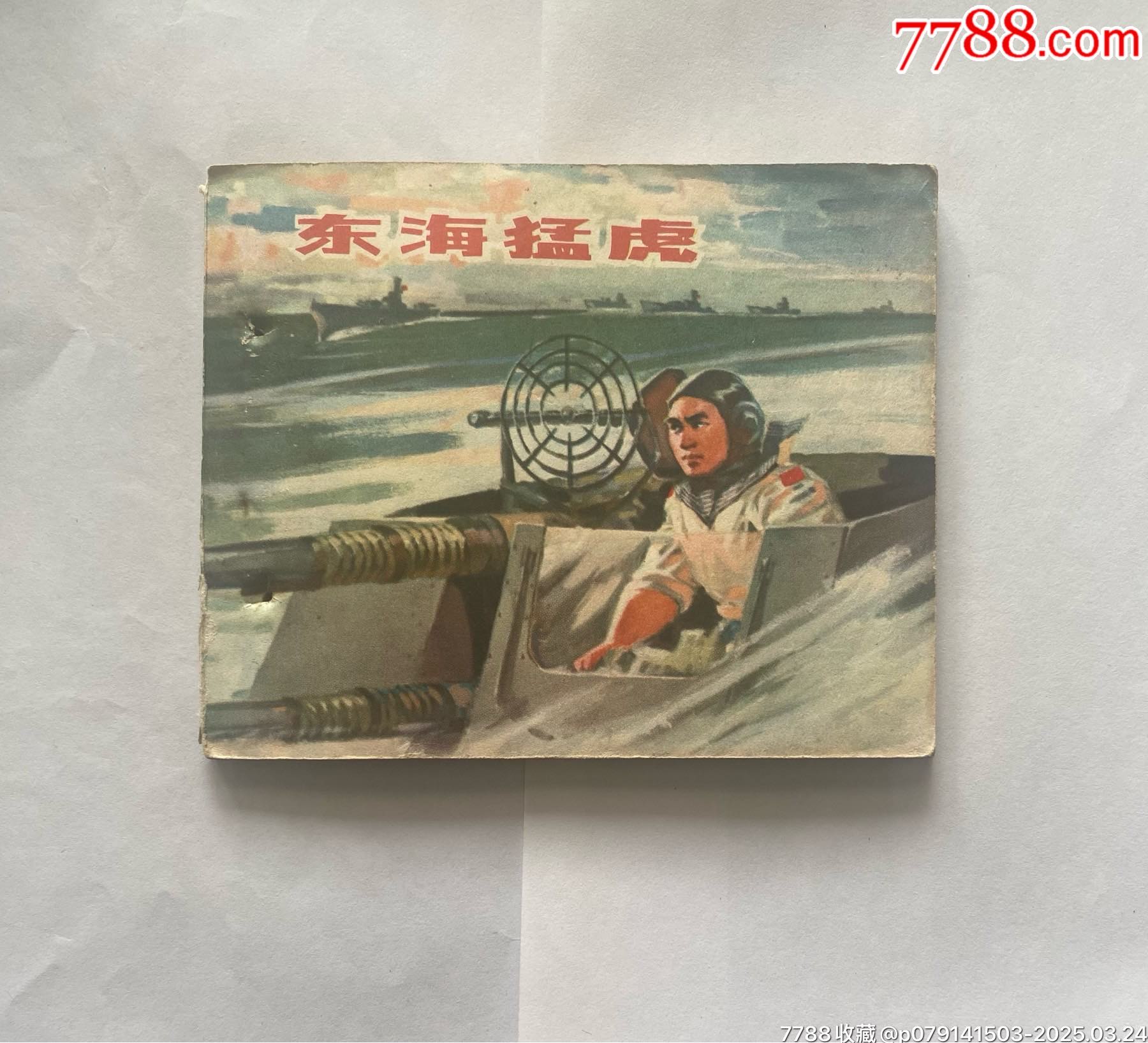 探寻历史记忆，2006年东海刺虎事件深度解析，深度解析，探寻东海刺虎事件的历史记忆（2006年）