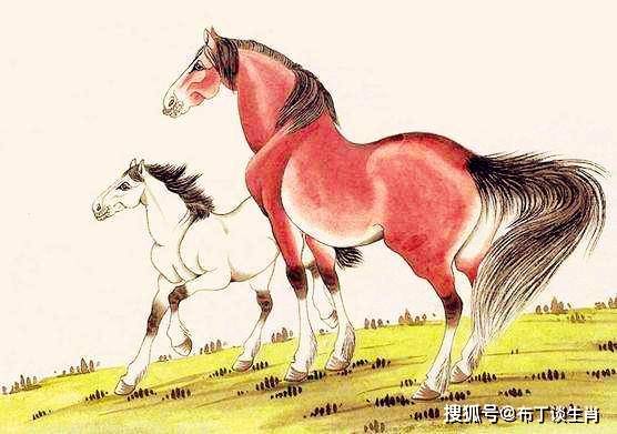 生肖马