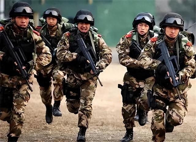 解放军各军兵种人数概况，解放军各军兵种人数概览