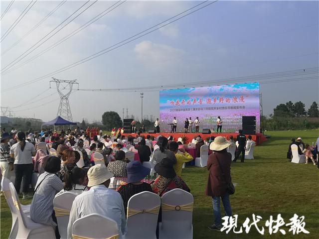 溧水今日瞩目，重大新闻一览，溧水瞩目焦点，重大新闻一览
