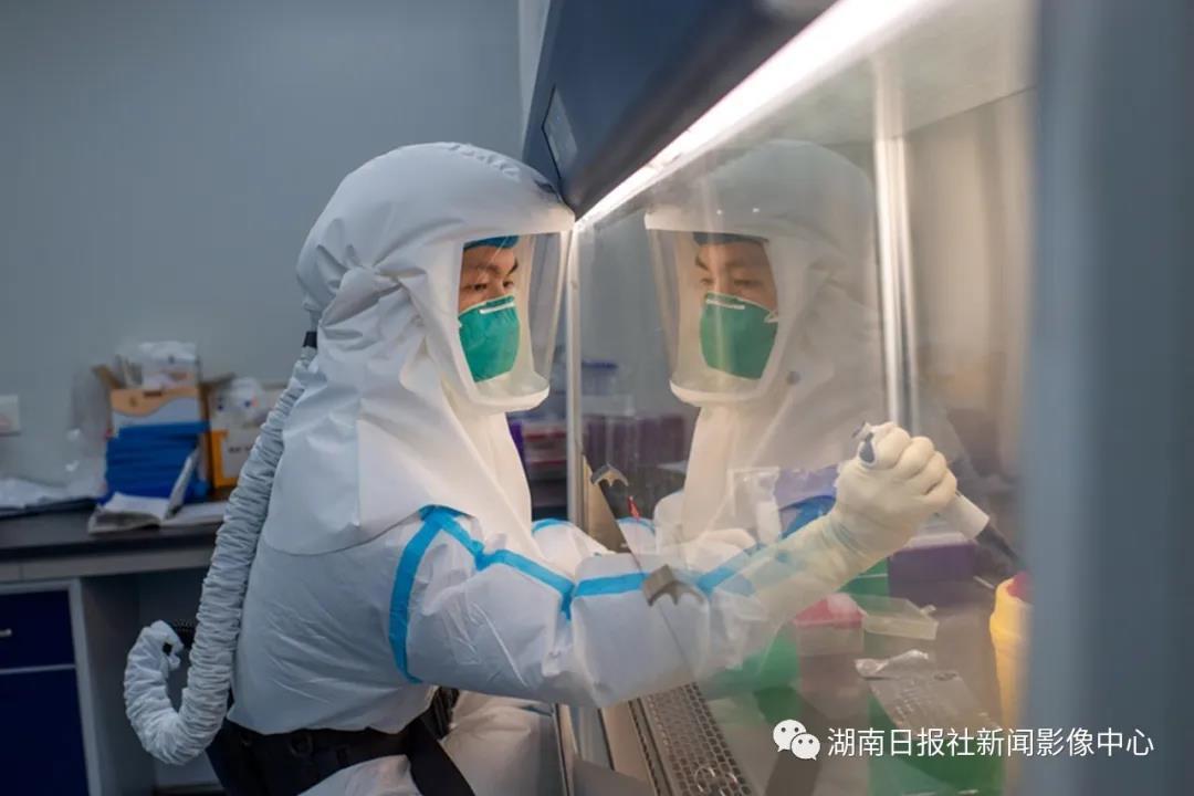 最新消息，回湖南是否需要核酸检测？详解与应对建议，湖南核酸检测要求解析，最新动态与应对建议