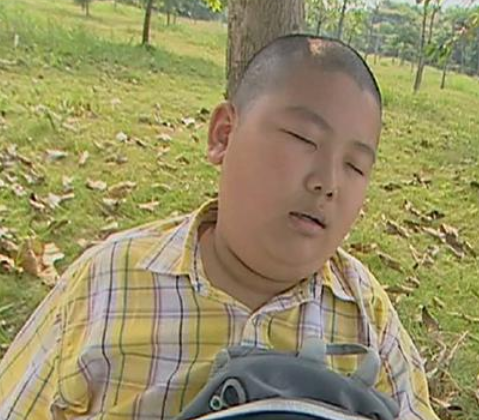 石小龙，一位传奇人物的崛起与影响，石小龙，传奇人物的崛起与深远影响