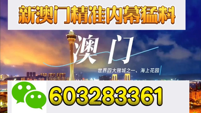 澳门今晚开特马与开奖结果课，探索彩票背后的秘密，澳门特马开奖探索，彩票背后的秘密与开奖结果揭晓之夜