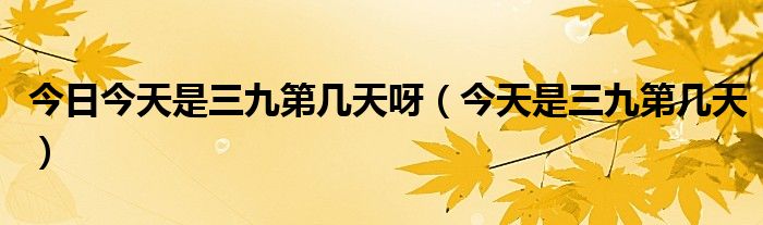 今天三九是哪一天——探寻中国传统节气中的三九时节，探寻中国传统节气中的三九时节，今日三九具体日期揭晓