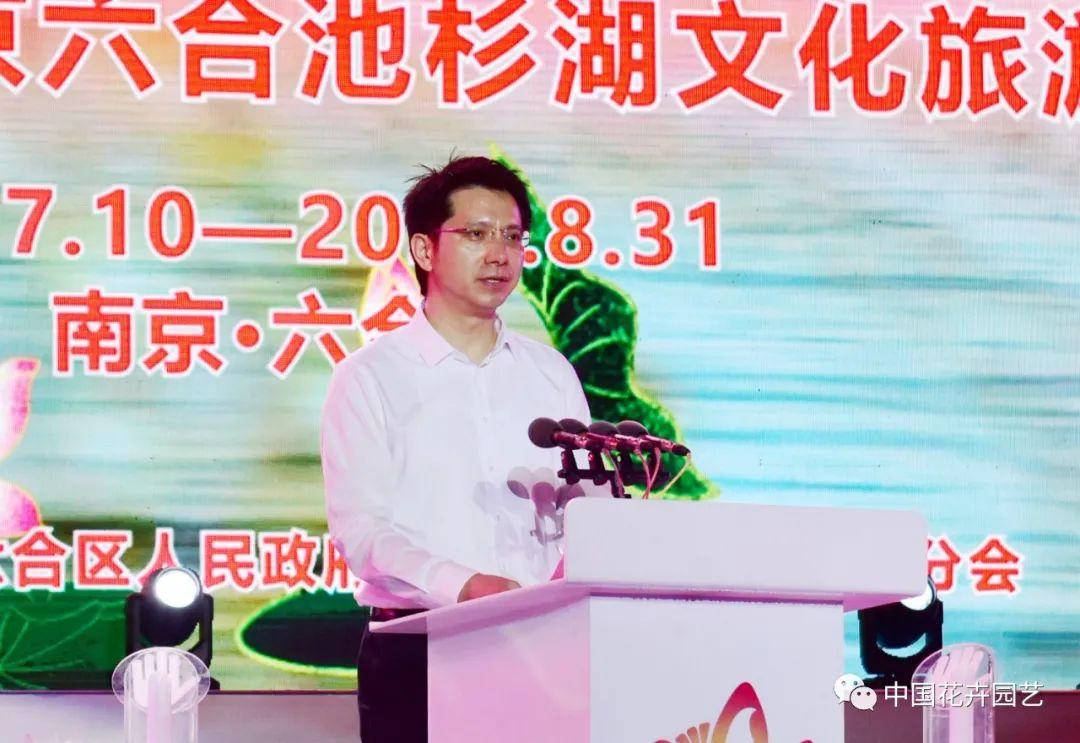 推荐 第310页