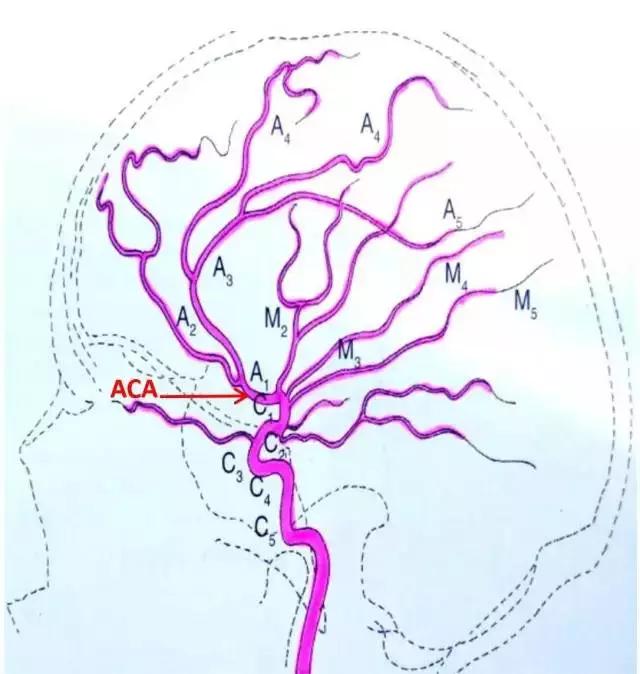 热点 第306页
