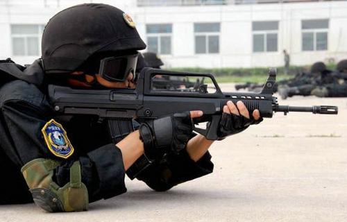 武警雪豹突击队干部,英勇忠诚的卫士,武警雪豹突击队干部,英勇忠诚的卫士