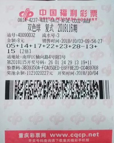 一码爆特彩民之家论坛，探索彩票世界的乐园，一码爆特彩民之家论坛，彩票世界的探索乐园