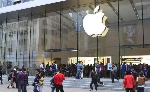 深度分析与未来展望