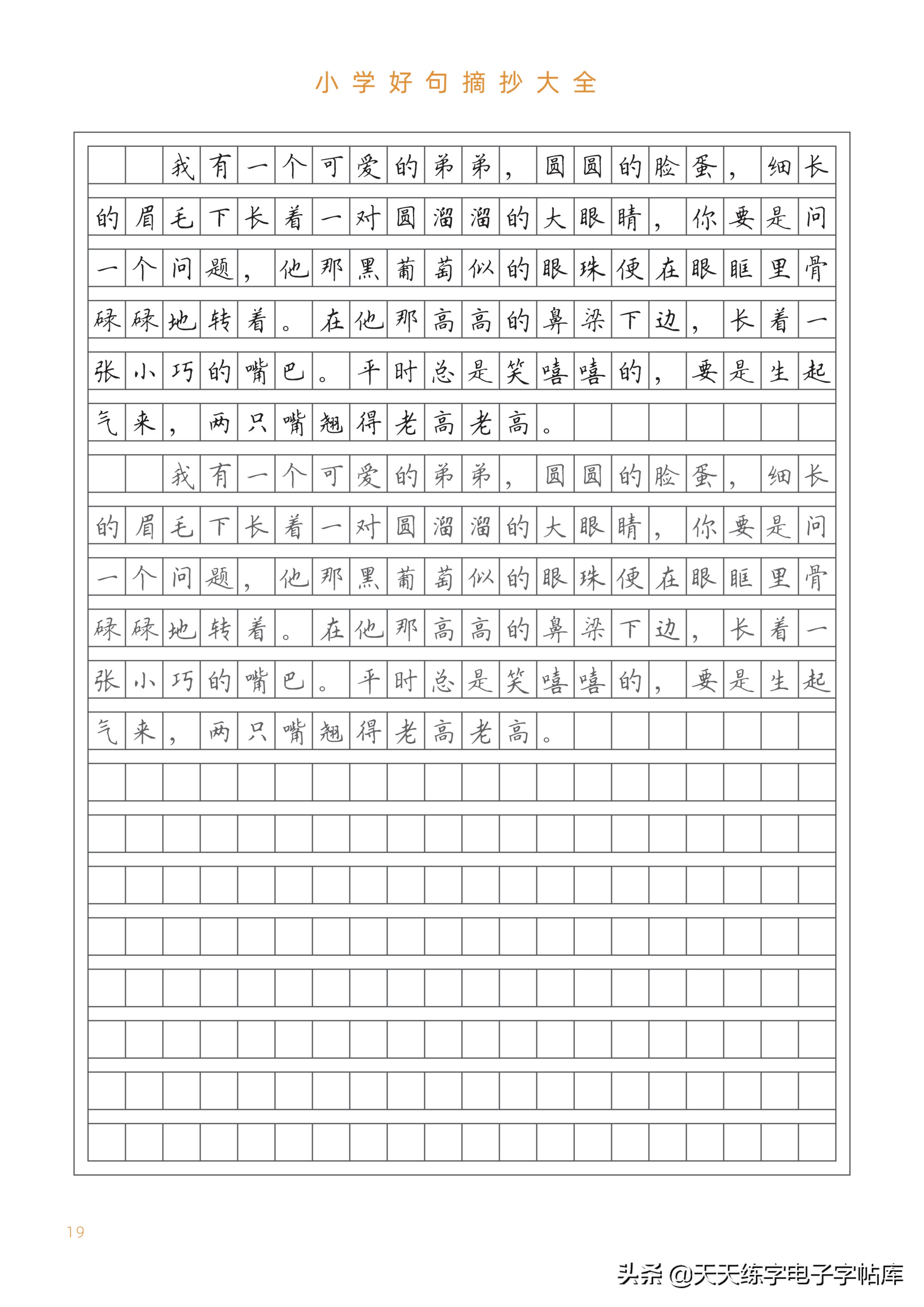 今日新闻摘抄十条小学生关注的社会动态，小学生关注的社会动态新闻摘要，今日十大热点事件