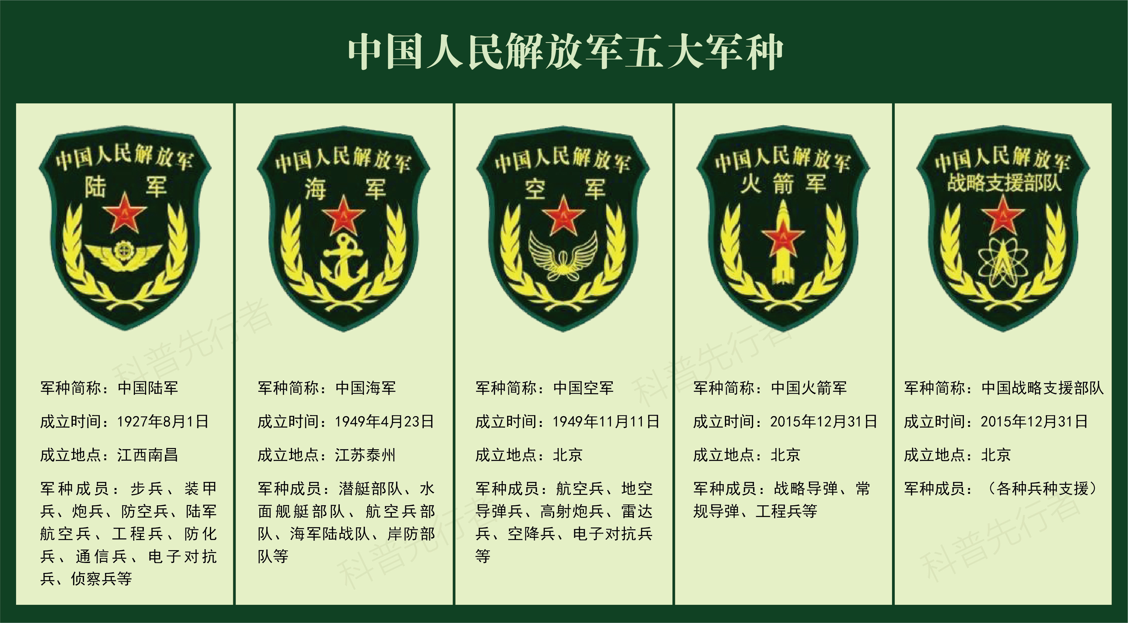 中国人民解放军的军种划分及其职能概述，中国人民解放军军种划分与职能概述