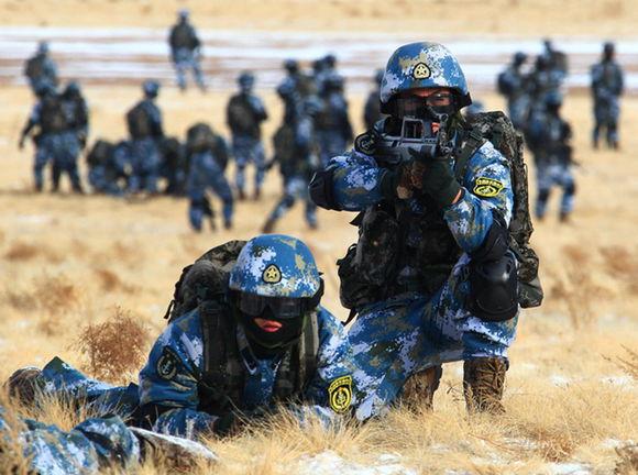 中国人民解放军陆军编制序列详解，中国人民解放军陆军编制序列详解与解析