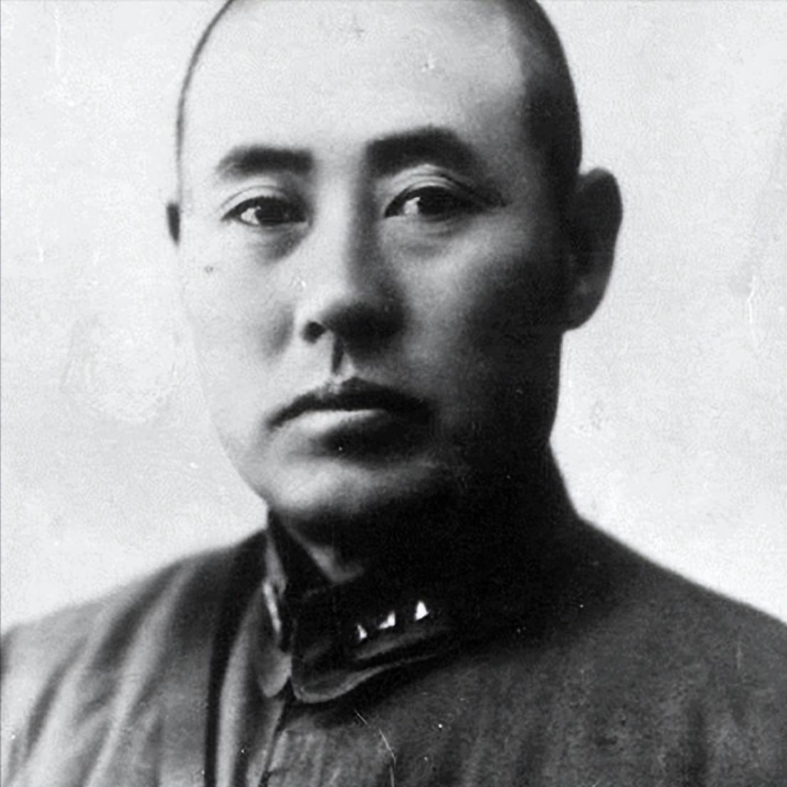 陈长捷，历史长河中的杰出人物，陈长捷，历史长河中的卓越人物典范