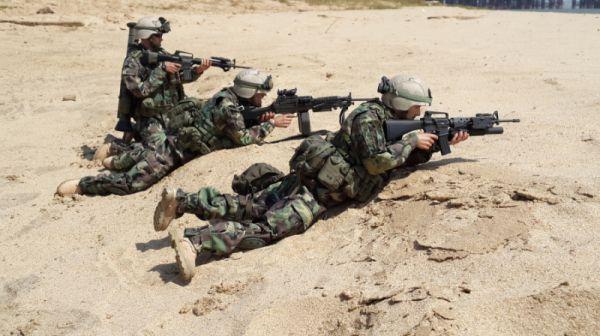 中国海军新武器，迈向现代化的步伐与力量展示，中国海军新武器展示现代化步伐与力量