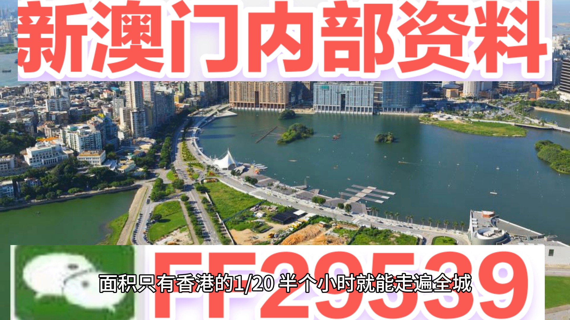 新澳门今晚开奖结果及开奖记录查询，深度解析与实用指南，澳门今晚开奖结果及记录查询，深度解析与实用指南