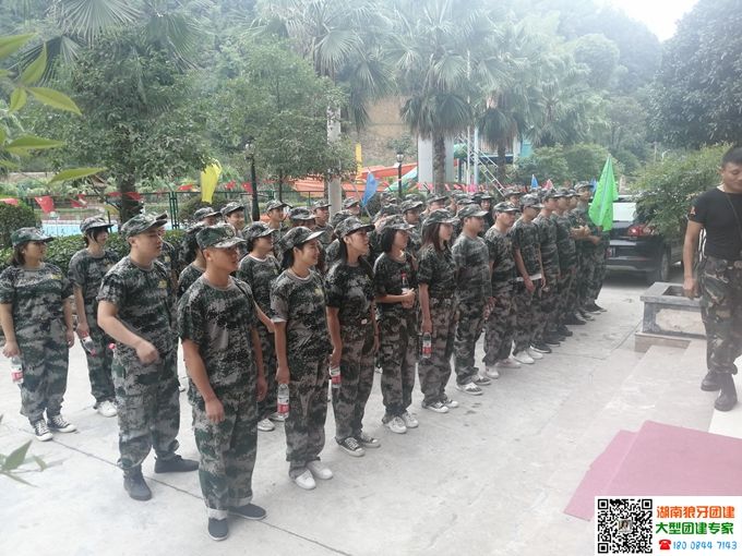 国防军事团建活动方案，国防军事团建活动方案详解，提升军事素养与团队协作能力的实践之旅