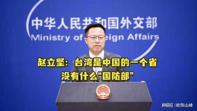 两岸谈判条件,构建和平与发展的共同未来,两岸和平谈判,共筑未来繁荣与发展之路