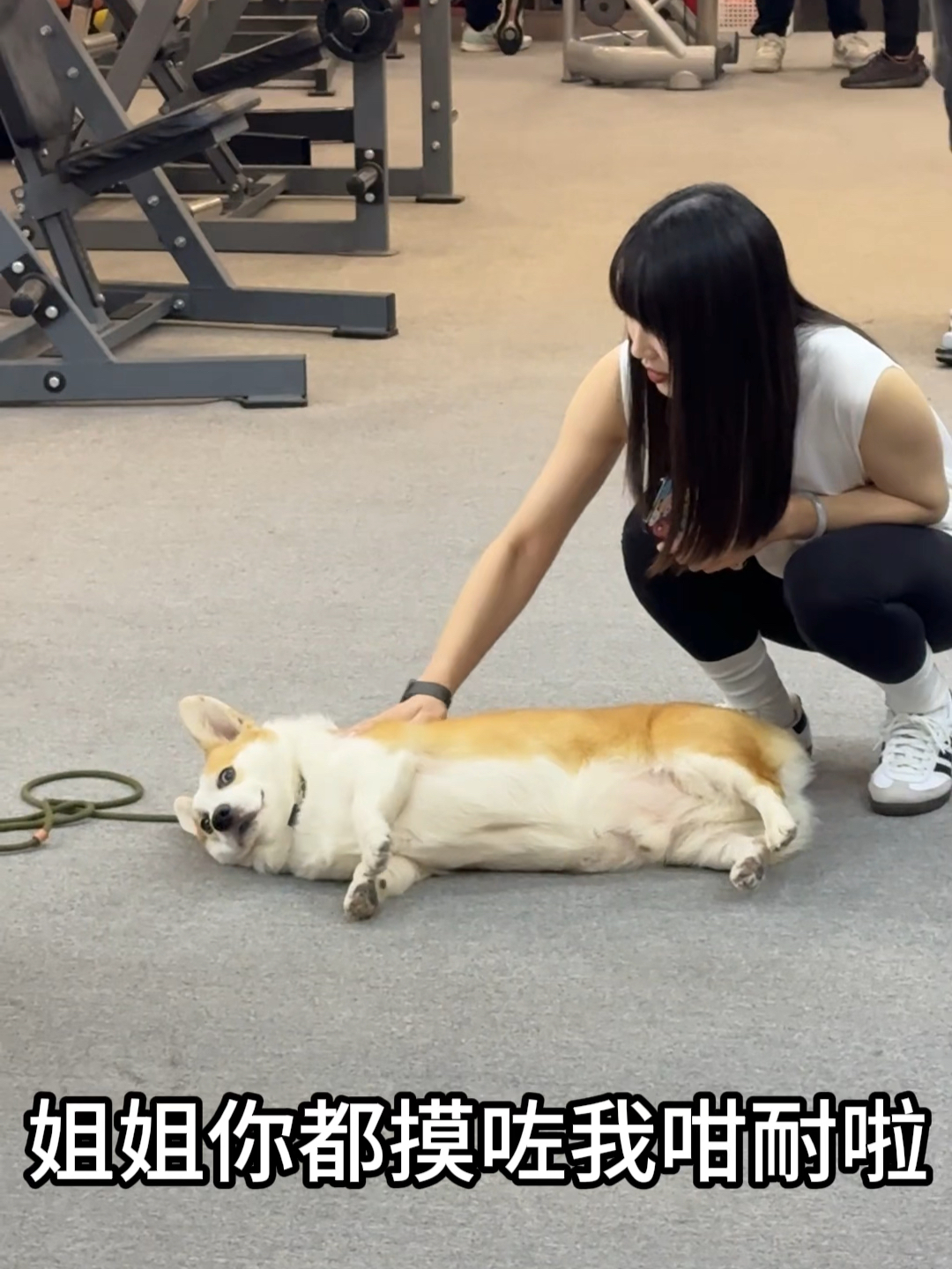 今天姐随你怎么摆弄,今日随心所欲,姐姐的摆布之旅