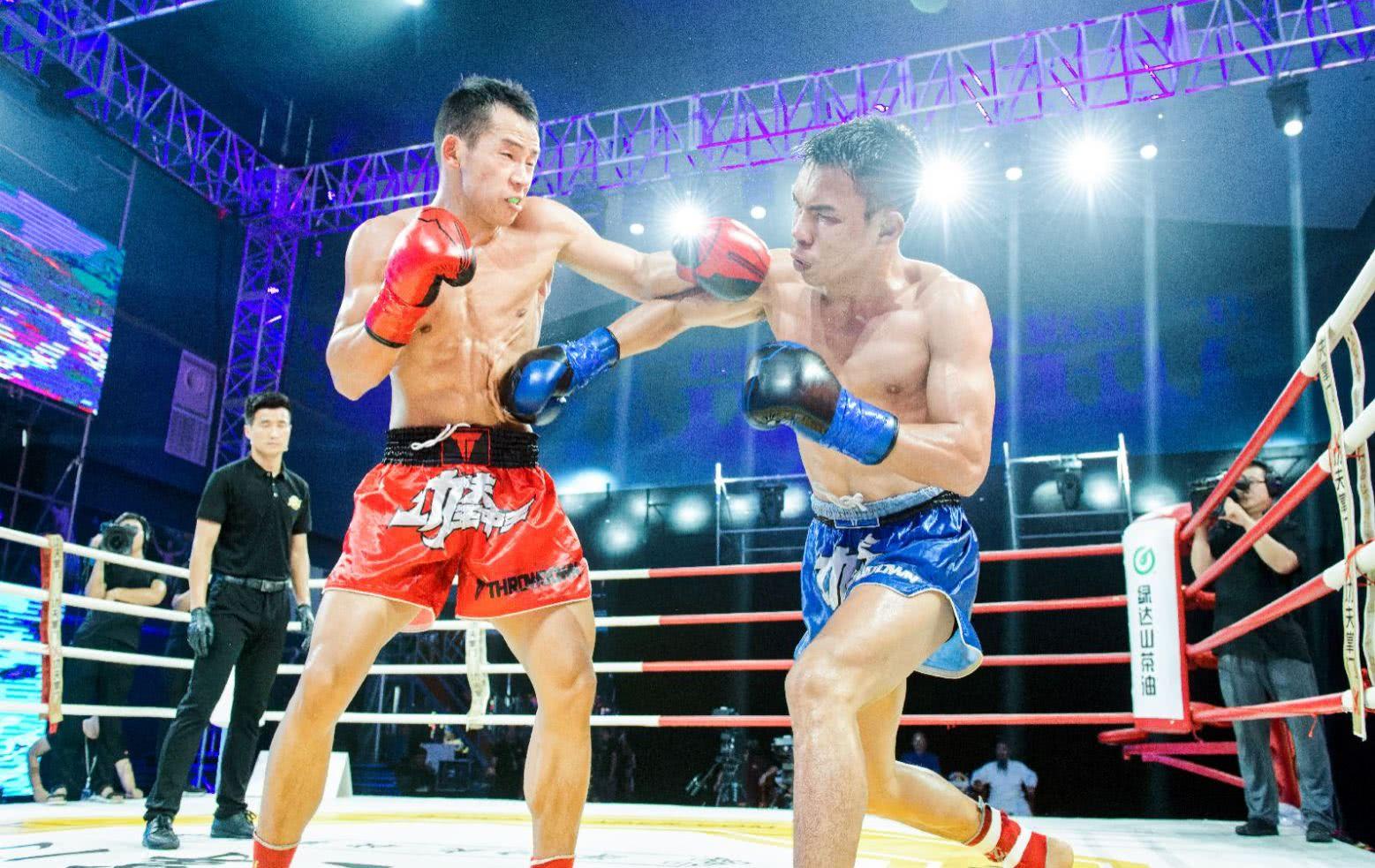 王中王欲钱诗解一肖——探寻生肖文化中的诗意与财富象征,生肖诗意与财富象征,王中王欲钱诗解一肖探寻记