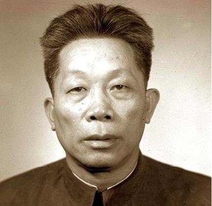 海南岛战役与国民党军的历史反思，海南岛战役与国民党军的历史反思，战争背后的教训与启示