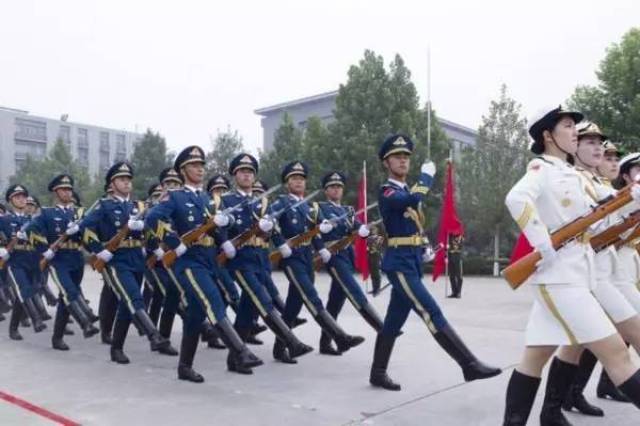 海陆空三军仪仗队画,荣耀的象征与艺术的展现,海陆空三军仪仗队画作,荣耀与艺术的双重象征