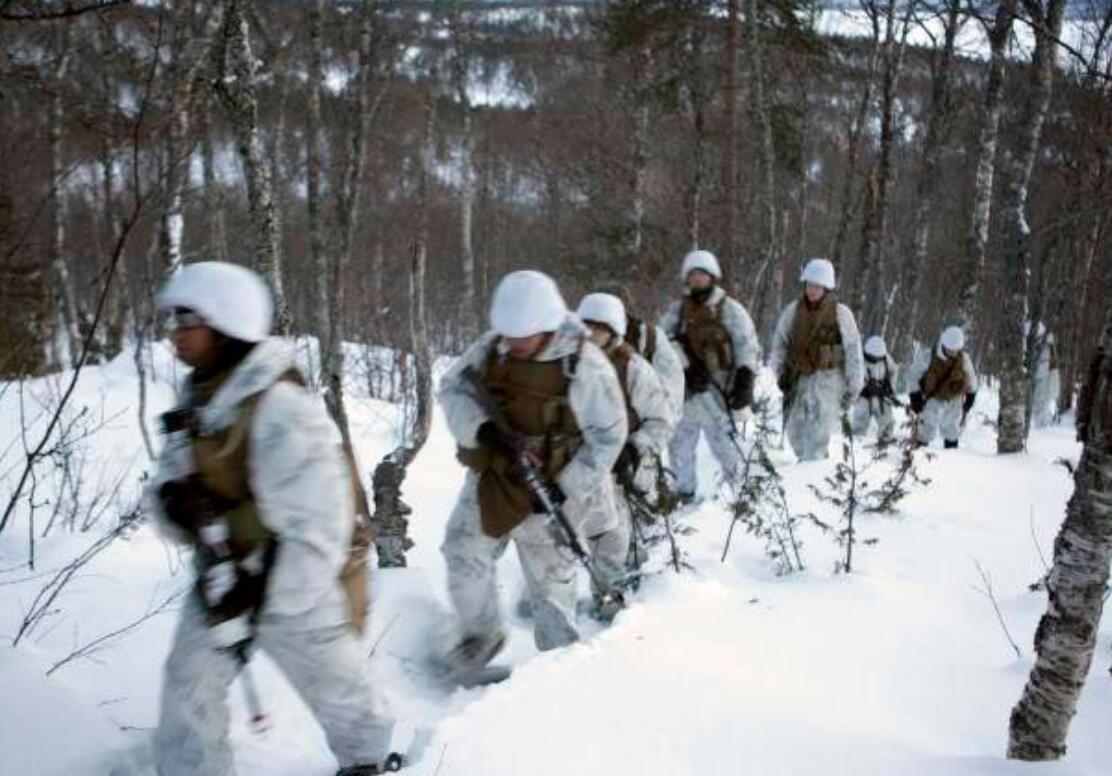特种兵学校全套，磨砺与挑战的青春热血，特种兵学校全套，热血青春的挑战与磨砺
