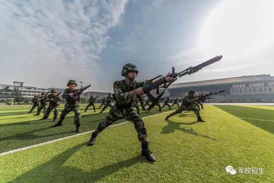 武警学院，军校还是警校？解析其独特性质与定位，武警学院，军校还是警校？深度解析其独特性质与定位。