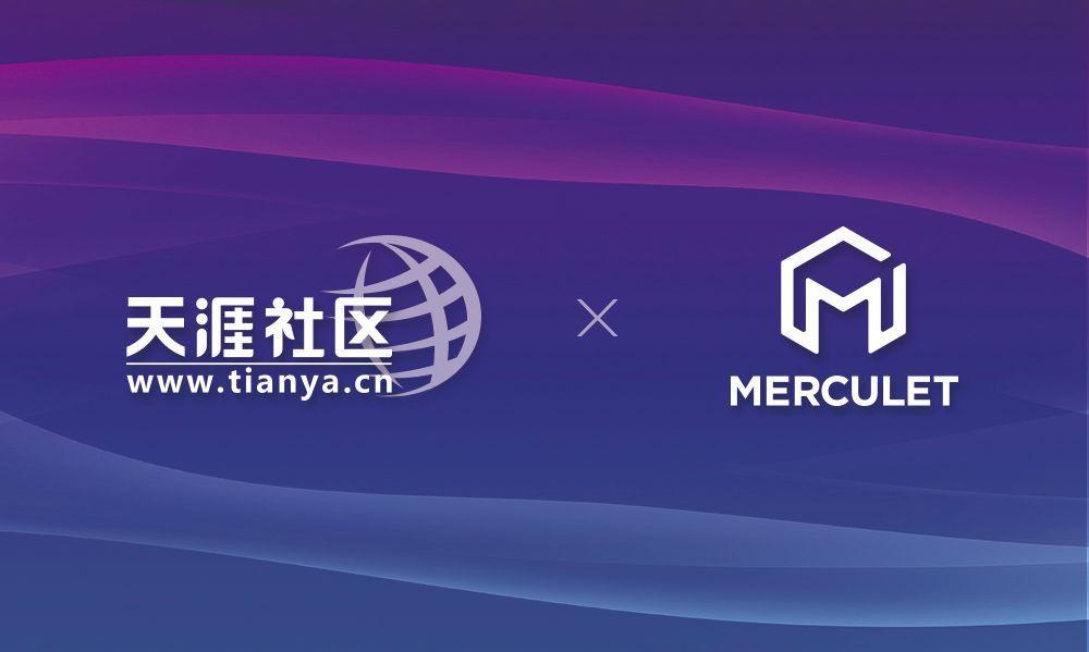 天涯论坛与天涯社区，网络时代的社区交流与言论高地，天涯论坛与天涯社区，网络时代的社区互动与言论聚集地