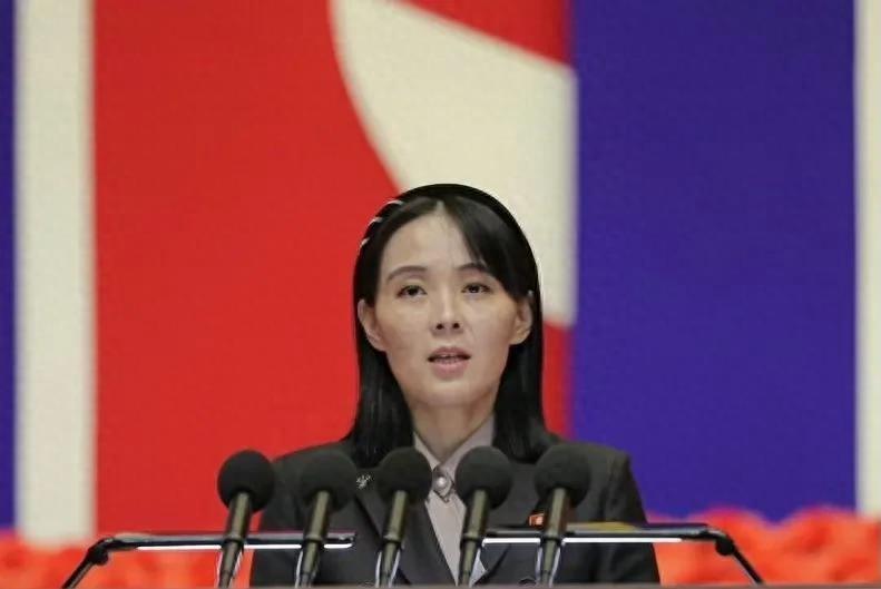 朝鲜全球鹰无人机的技术探索与挑战，朝鲜全球鹰无人机的技术探索及挑战分析