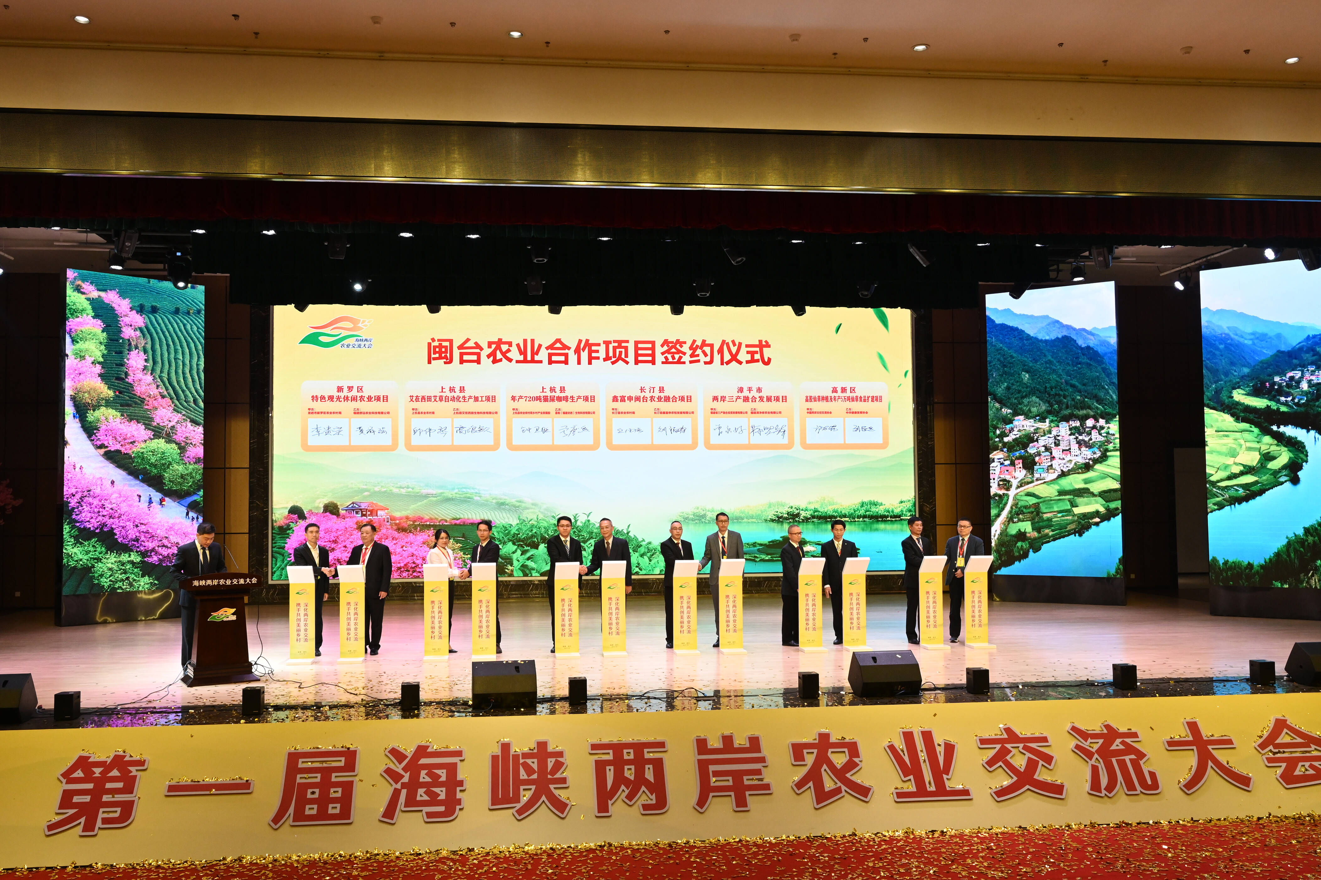 发展概览