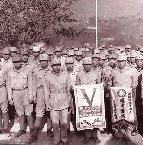 揭秘神秘的飞虎师，臂章背后的故事与荣耀传承，飞虎师臂章背后的神秘故事与荣耀传承揭秘