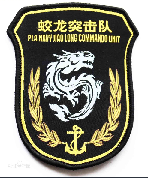 蓝色臂章，揭示其背后所代表的兵种，蓝色臂章背后的兵种秘密