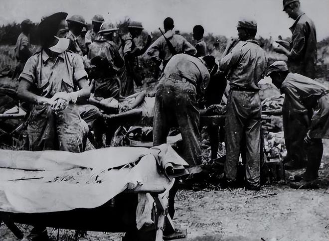 远征军最后都去哪了,远征军最后的归宿与去向