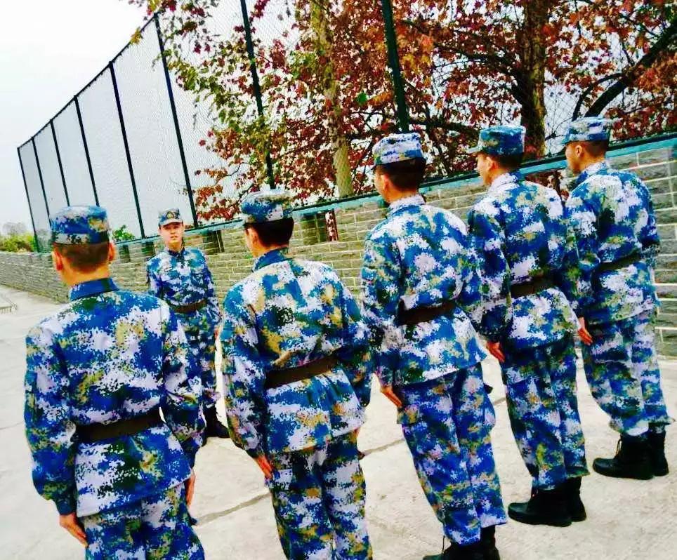 宁波舰洋电子有限公司，引领科技潮流，铸就行业典范，宁波舰洋电子，科技潮流引领者，行业典范铸就者