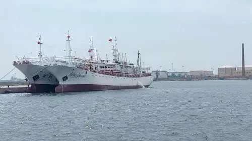 远洋巨无霸，揭秘一艘载重达万吨的大型渔船，揭秘远洋巨无霸，万吨级大型渔船探秘之旅