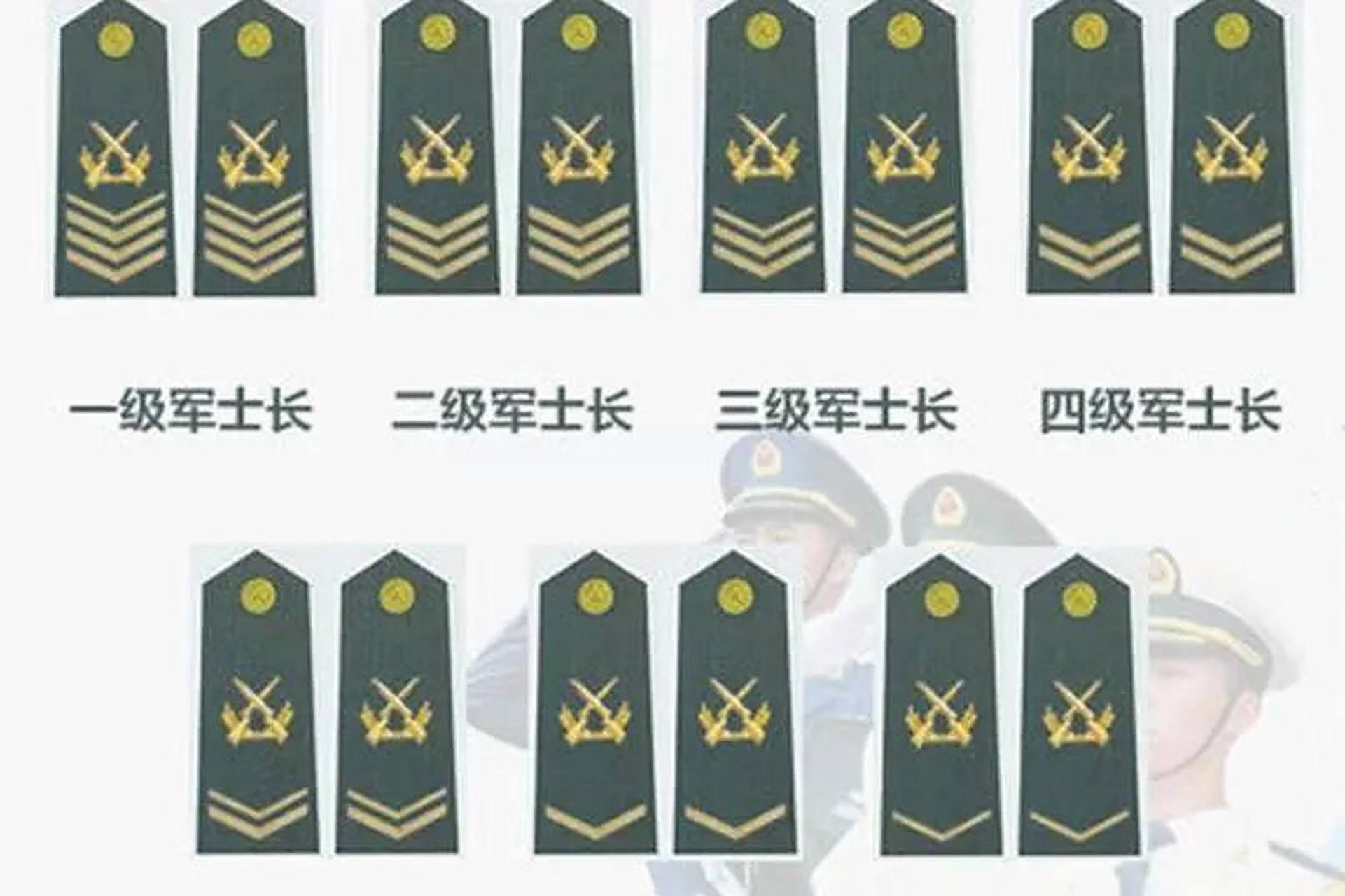 二级上士，军队中的干部级别解析，二级上士，军队干部级别的深度解析