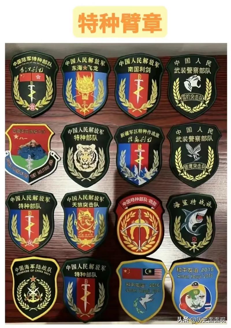 中国特战部队概览，中国特战部队全面概览