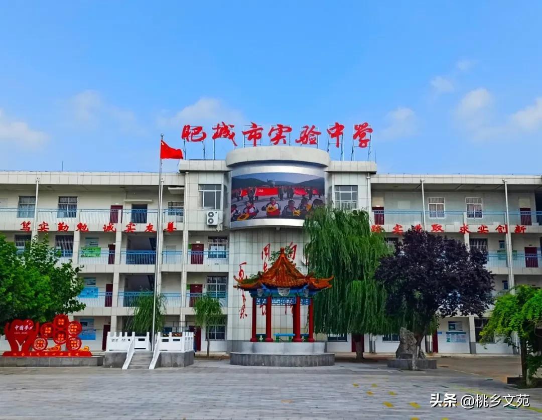 江海互动论坛新址，探索、发展与交流的新起点，江海互动论坛新址，探索、发展与交流的新起点平台