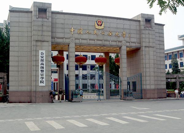 概览/概述