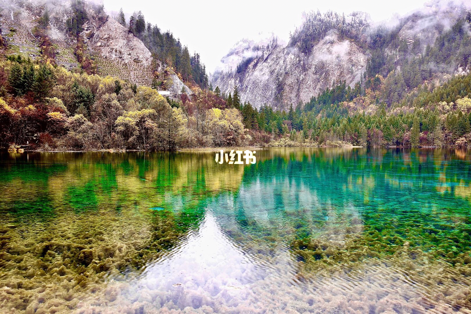 美不胜收的意思及其在我们生活中的应用，美不胜收的意思及其在日常生活中的广泛应用