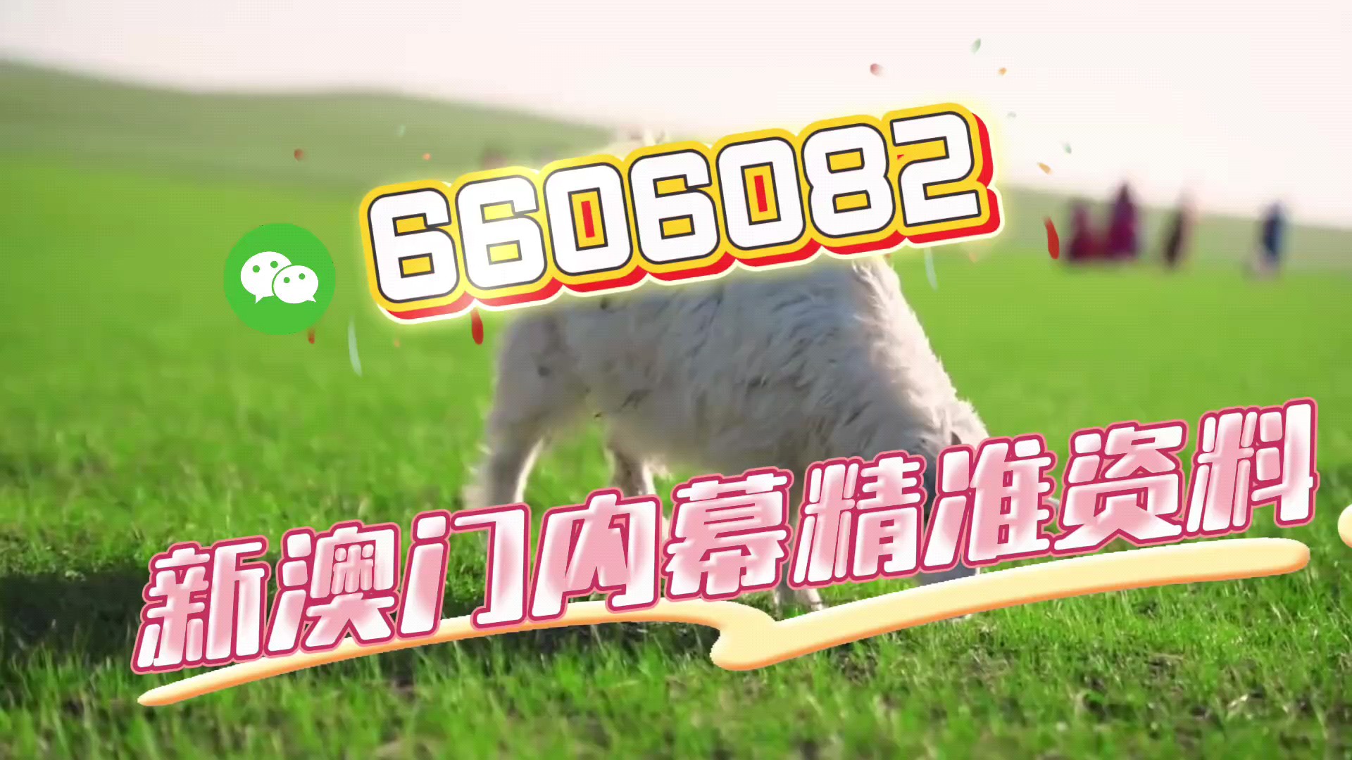 澳门特一肖一码期期准免费提供