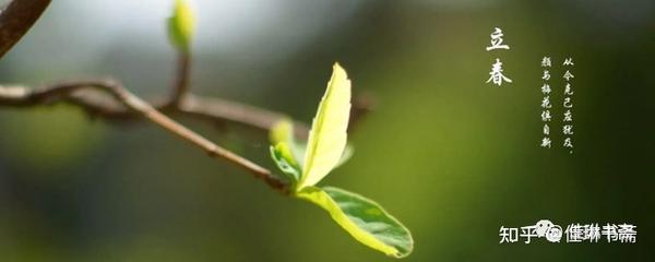 今日立春时间，万物复苏，生机勃发，立春时节，万物复苏，生机勃发