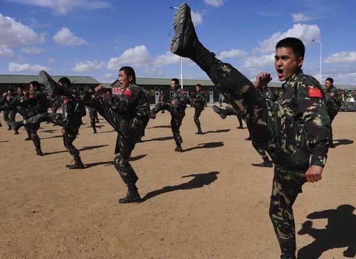 中国特种兵格斗术，技艺与精神的融合，中国特种兵格斗术，技艺与精神的完美结合