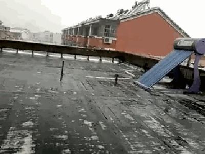 香港 第135页