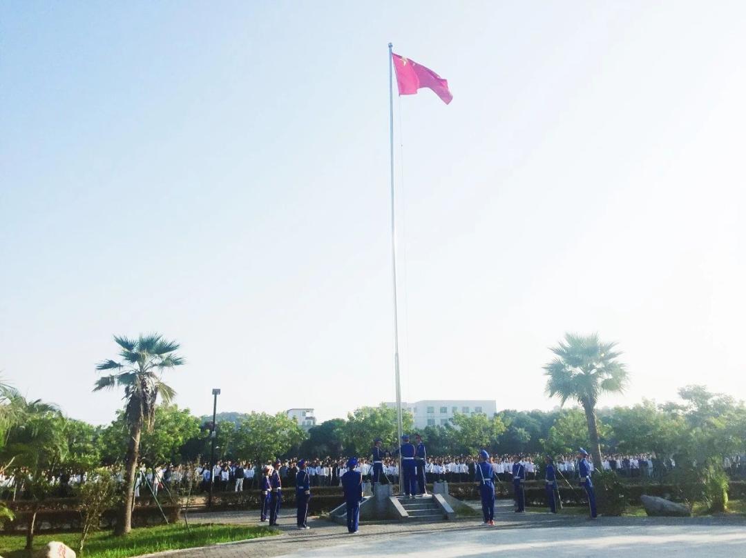 军事理论网站概览，军事理论网站概览与特色解析