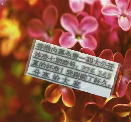 两肖必中一肖王中王，揭秘预测背后的神秘面纱，揭秘两肖必中一肖王中王的预测神秘面纱