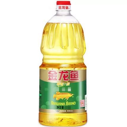 王中王一肖精准资料大全，深度解析与探索，王中王一肖精准资料大全，深度解析与探索之旅