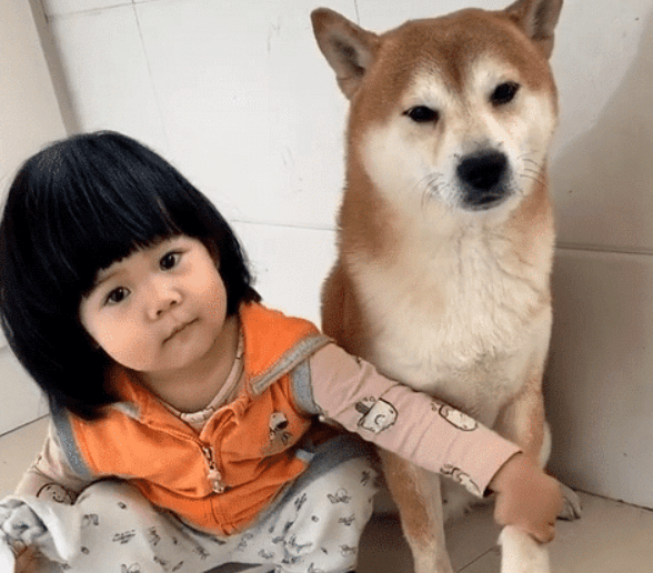 神秘的管家婆狗与数字7777788888，神秘的管家婆狗与神秘数字7777788888之谜